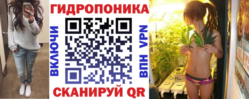 Конопля MAZAR Кедровый